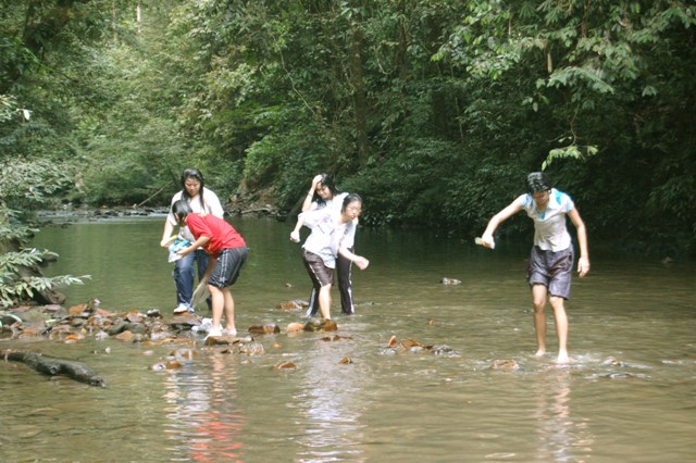 DSC_4258.JPG